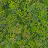 Lakure Private Biological Reserve